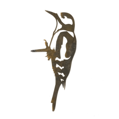 Pic Epeiche - METALBIRD