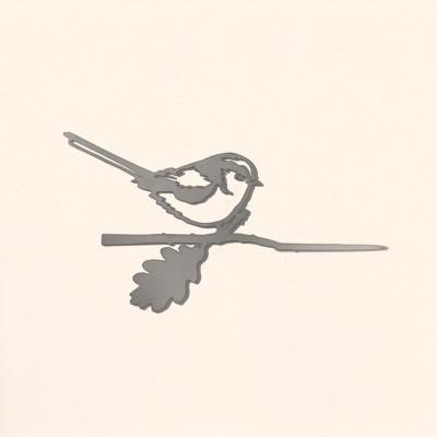 Cincia dalla coda lunga - METALBIRD